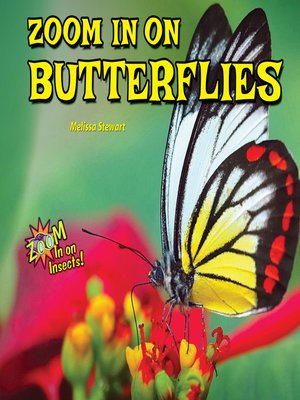 cover image of Zoom In on Butterflies